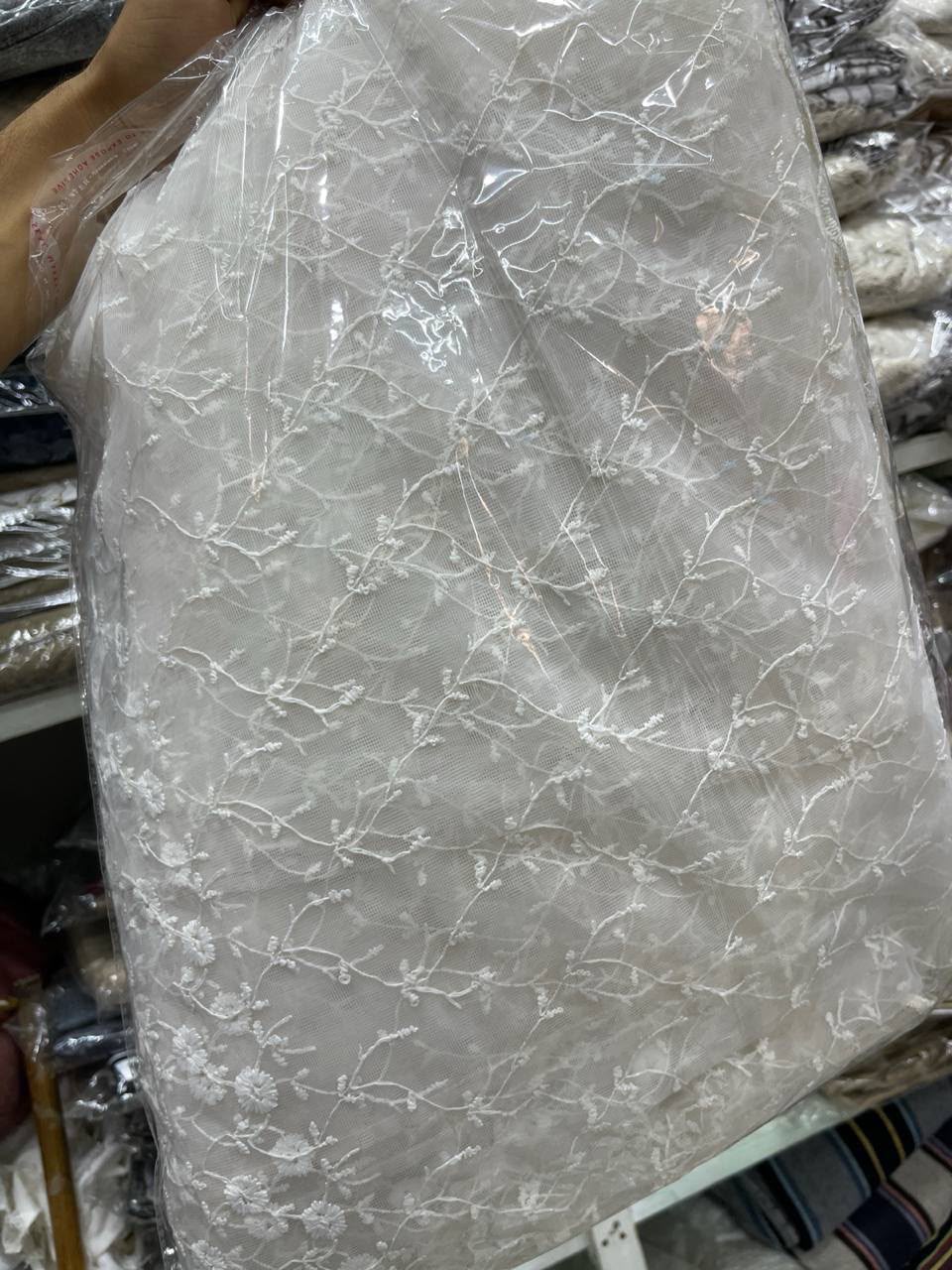 ستارة تل